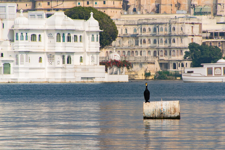 India 2014 - Udaipur 087.jpg